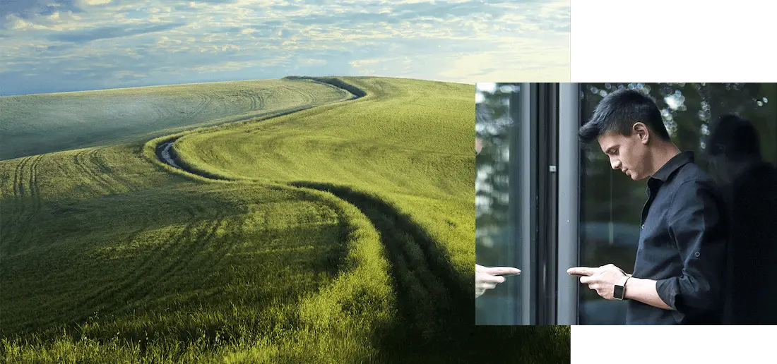 Headergrafik Feld